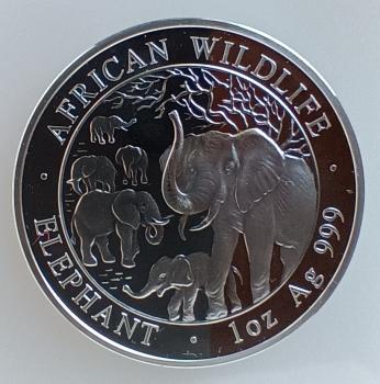 Somalia Elefant 1 Unze Silber 2008 stgl